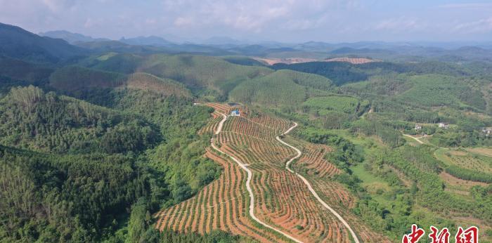 上山的小火車_小火車上山_爬山小火車