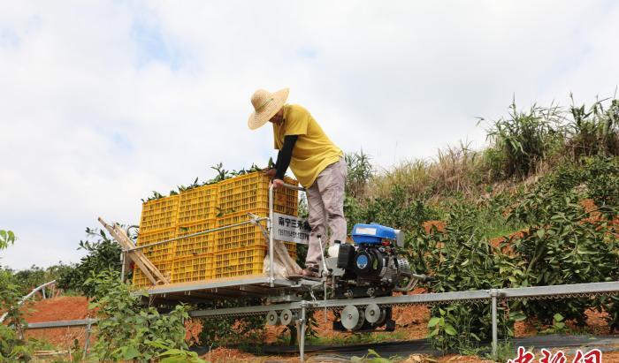 爬山小火車_上山的小火車_小火車上山