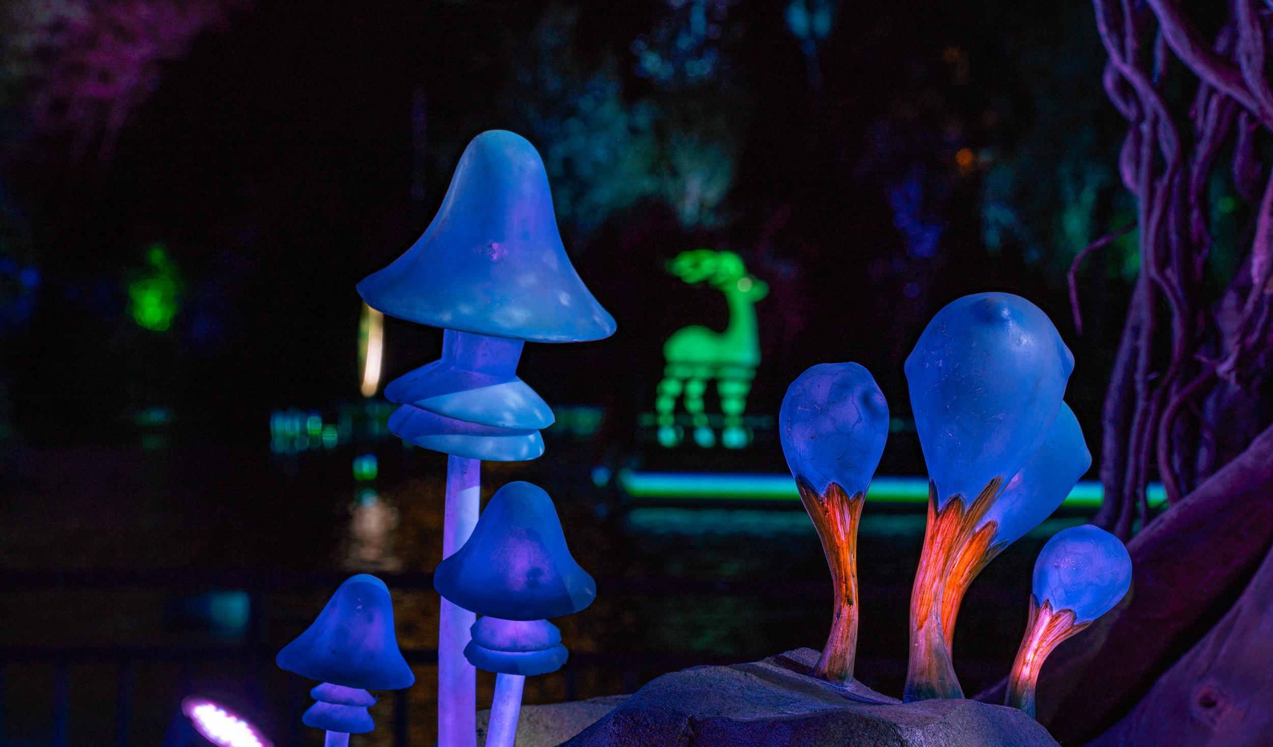 白鹿原旅游景點介紹_白鹿原旅游景點_白鹿原旅游