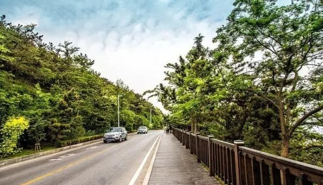 杭州出發自駕青島沿途_青島自駕到杭州沿途景點_青島杭州自駕游路線