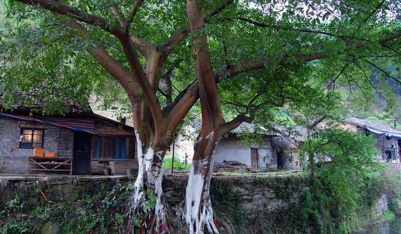 小火車上山_小火車上山坡_火車上山視頻