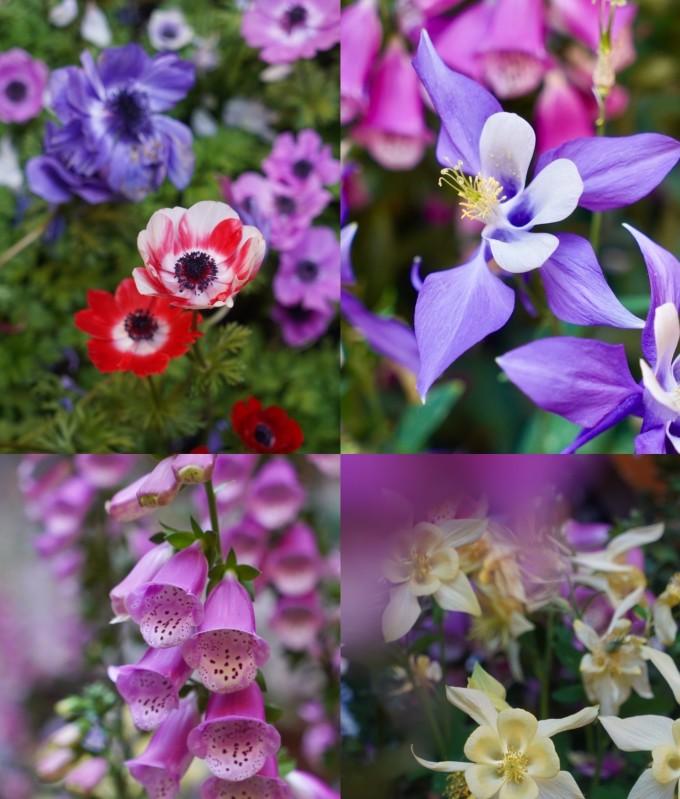 自駕西藏游月亮山攻略_西藏11月自駕游_自駕西藏游月亮湖攻略