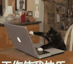 美女旅游_美女旅游_美女旅游