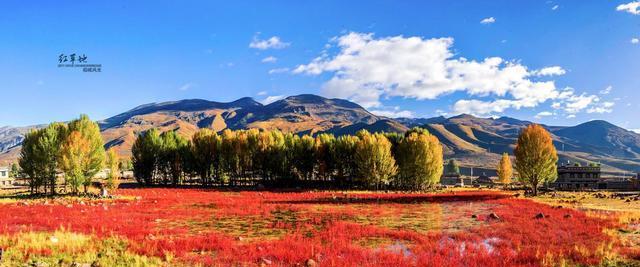 重慶自駕稻城亞丁,非常值得看