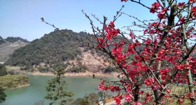 萍鄉旅游攻略景點必去_萍鄉的旅游景點_萍鄉旅游景點排名前十