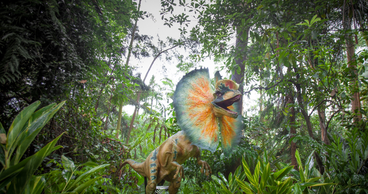 自駕游長隆野生動物世界攻略_長隆動物世界自駕游_長隆動物世界自駕游門票