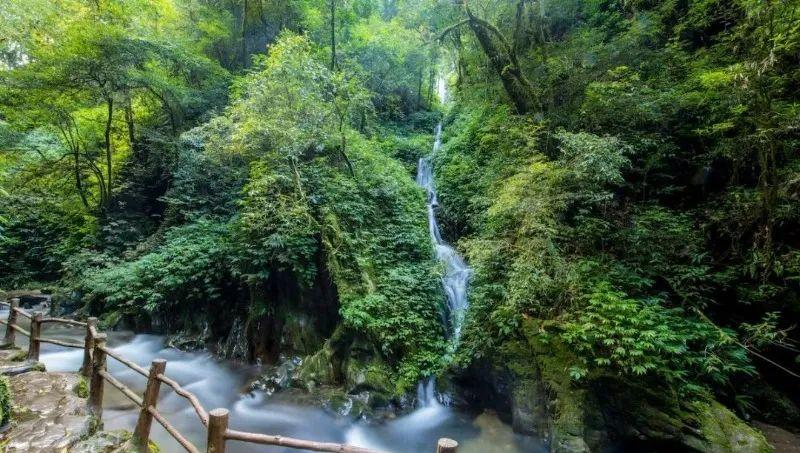 云南玉溪旅游景點大全排行榜_玉溪的旅游景點_玉溪旅游景點大全