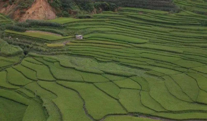 玉溪的旅游景點_玉溪旅游景點大全_云南玉溪旅游景點大全排行榜