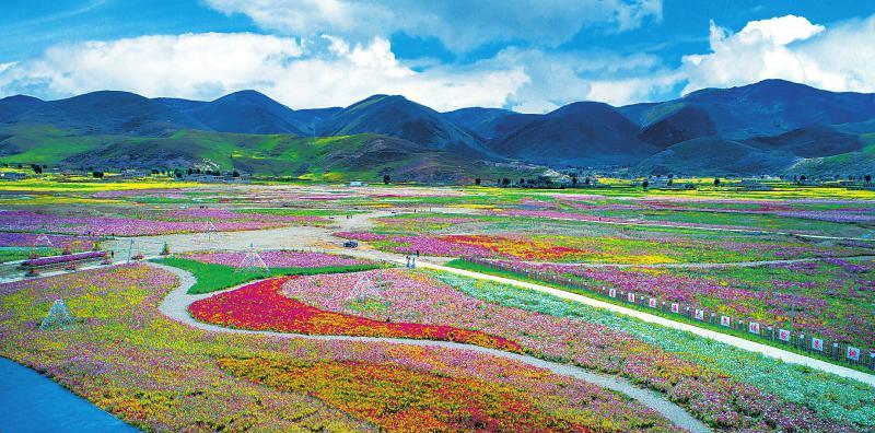 自駕游川藏線的最佳路線_川藏自駕游時間_自駕游川藏線