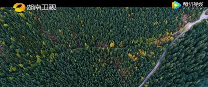 自駕游_八條自駕游_自駕游經典線路推薦