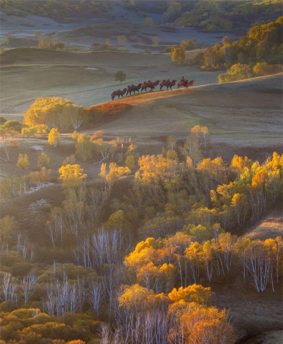 自駕游_自駕游經典線路推薦_八條自駕游