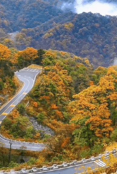 自駕游_八條自駕游_自駕游經典線路推薦