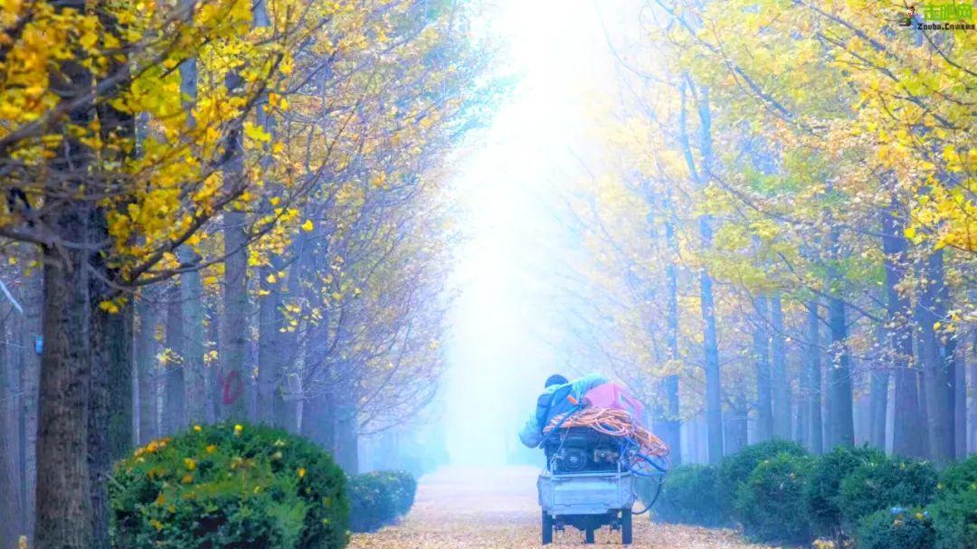 自駕游_自駕游經典線路推薦_八條自駕游