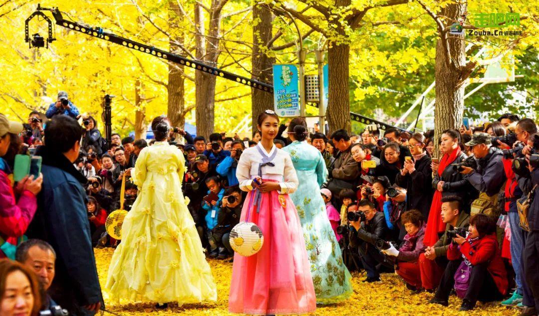 八條自駕游_自駕游_自駕游經典線路推薦