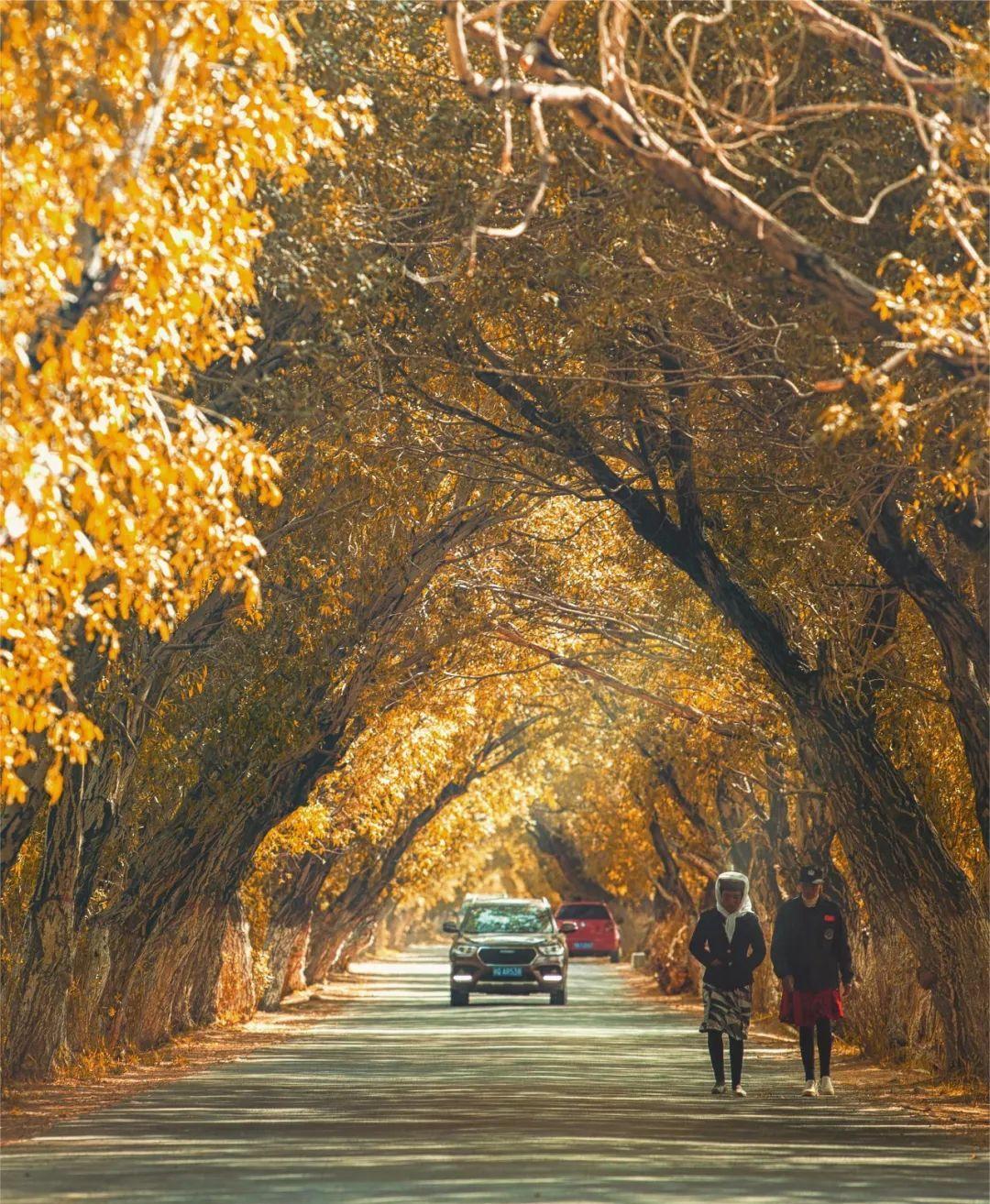 八條自駕游_自駕游經典線路推薦_自駕游