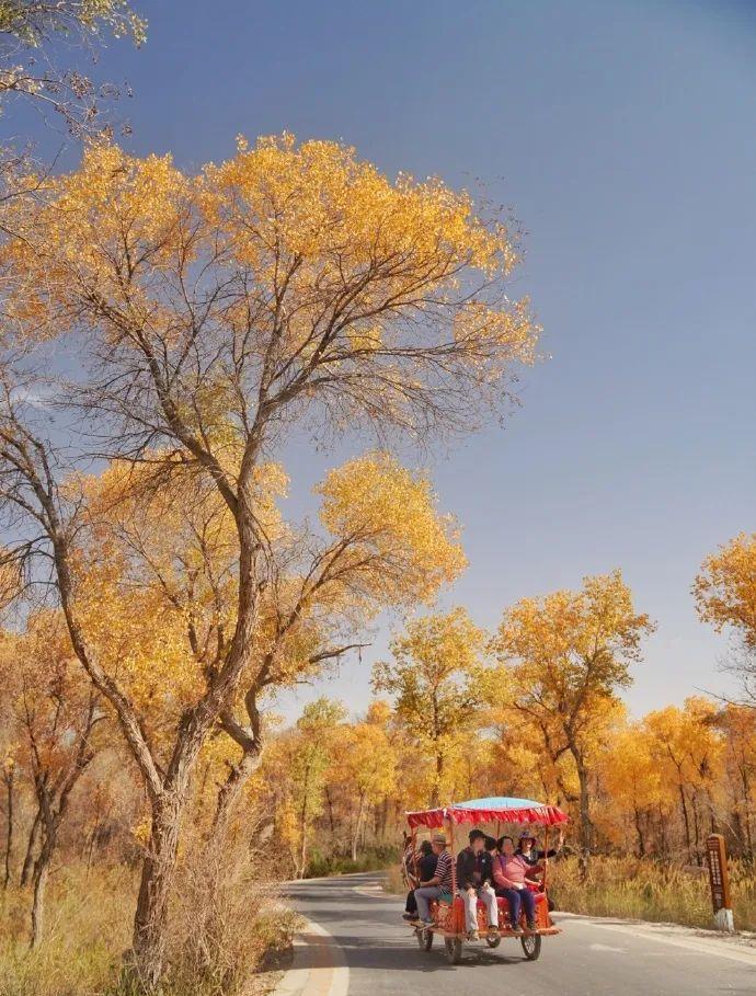 自駕游_自駕游經典線路推薦_八條自駕游