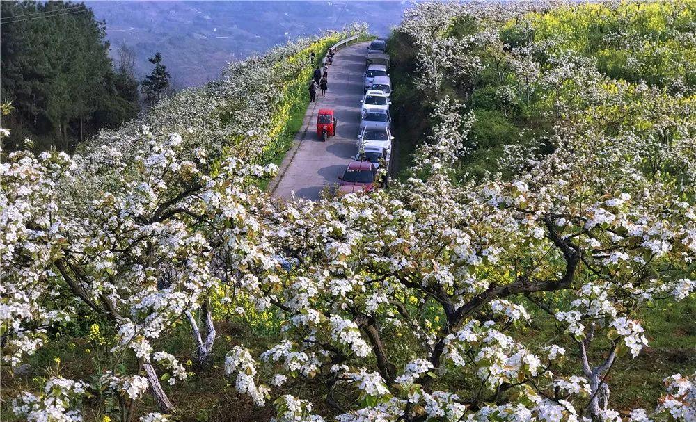 重慶-桂林自駕游_重慶桂林自駕_重慶自駕桂林沿途景區