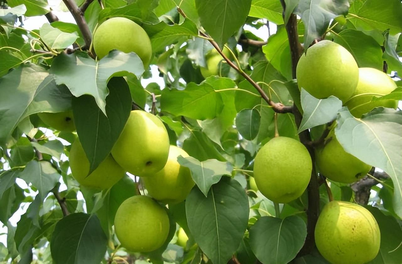 自駕北京周邊游景點(diǎn)大全集_十一自駕游北京周邊_自駕周邊游北京最佳路線