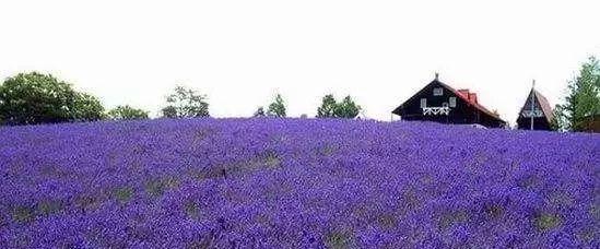 永康自駕游去哪里好玩_永康自駕游_永康自駕游旅游景點