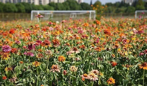 仙林火車站有去哪里的火車_仙林站營業(yè)時(shí)間_仙林火車站