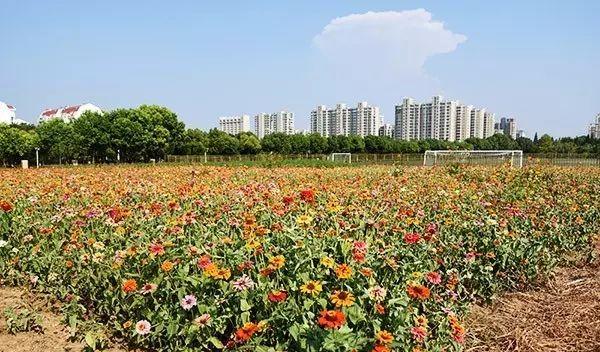 仙林站營業(yè)時(shí)間_仙林火車站_仙林火車站有去哪里的火車