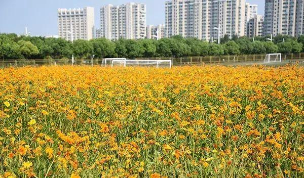 仙林火車站_仙林站營業(yè)時(shí)間_仙林火車站有去哪里的火車