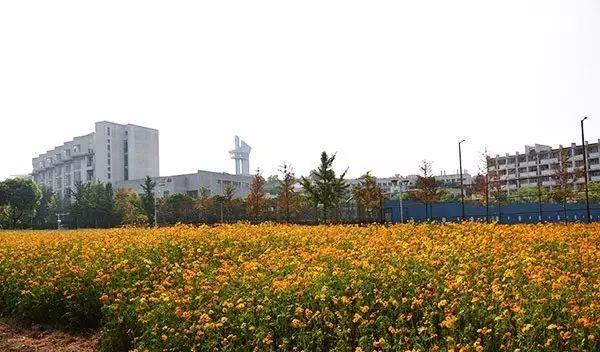 仙林火車站_仙林火車站有去哪里的火車_仙林站營業(yè)時(shí)間