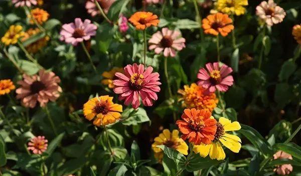 仙林火車站有去哪里的火車_仙林站營業(yè)時(shí)間_仙林火車站