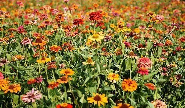 仙林火車站有去哪里的火車_仙林火車站_仙林站營業(yè)時(shí)間