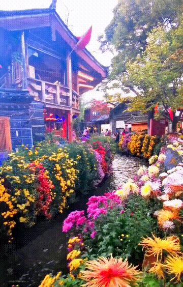 阜陽到唐山的火車_唐山到阜陽火車站_唐山到阜陽的火車