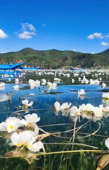 阜陽到唐山的火車_唐山到阜陽的火車_唐山到阜陽火車站