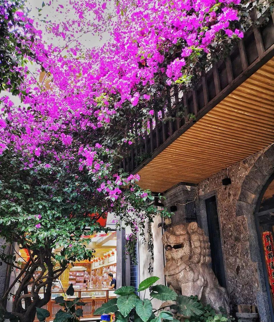 唐山到阜陽火車站_阜陽到唐山的火車_唐山到阜陽的火車