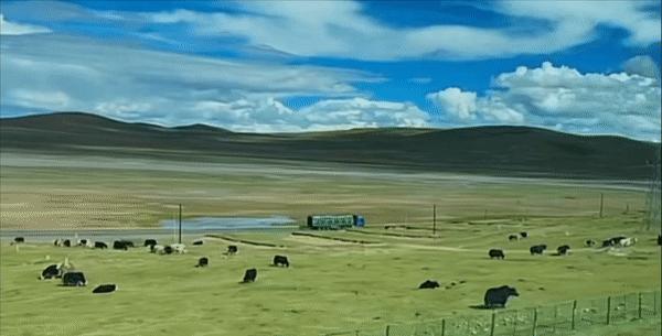 唐山到阜陽的火車_唐山到阜陽火車站_阜陽到唐山的火車