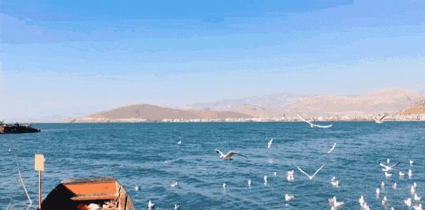 唐山到阜陽的火車_唐山到阜陽火車站_阜陽到唐山的火車