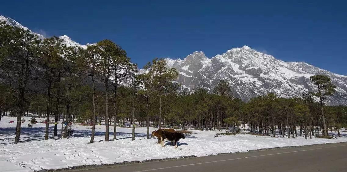 重慶-桂林自駕游_重慶自駕桂林沿途景區_重慶桂林自駕