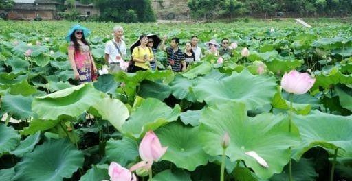重慶-桂林自駕游_重慶自駕桂林經過哪些縣城_重慶桂林自駕