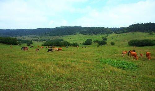 重慶自駕桂林經過哪些縣城_重慶桂林自駕_重慶-桂林自駕游