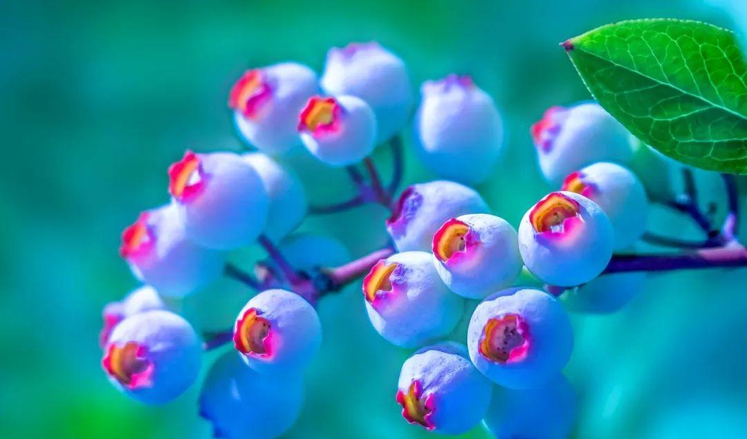 黔東南自治州旅游景點_貴州旅游景點黔東南_黔東南州旅游景點