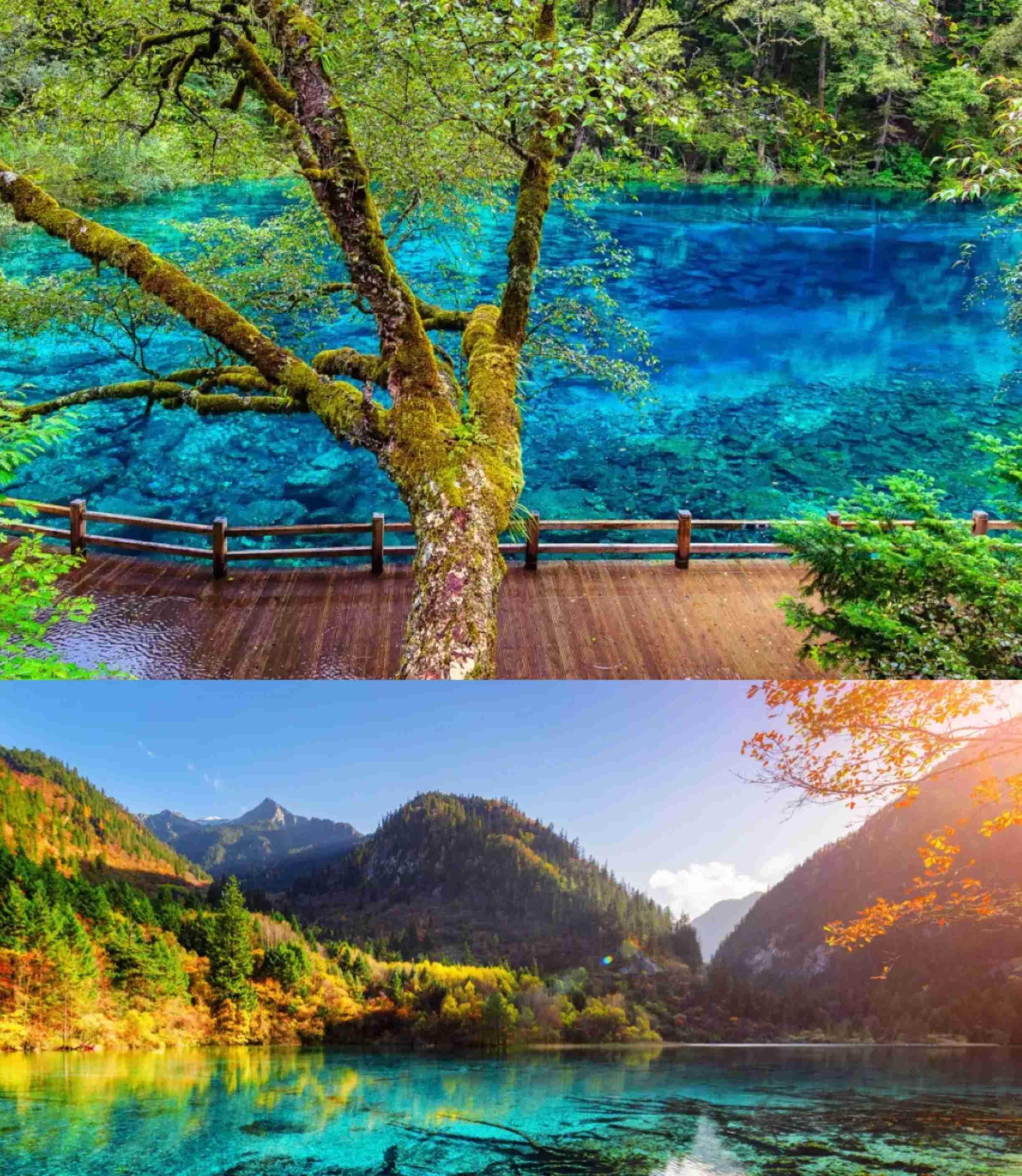 九寨溝黃龍三日游行程