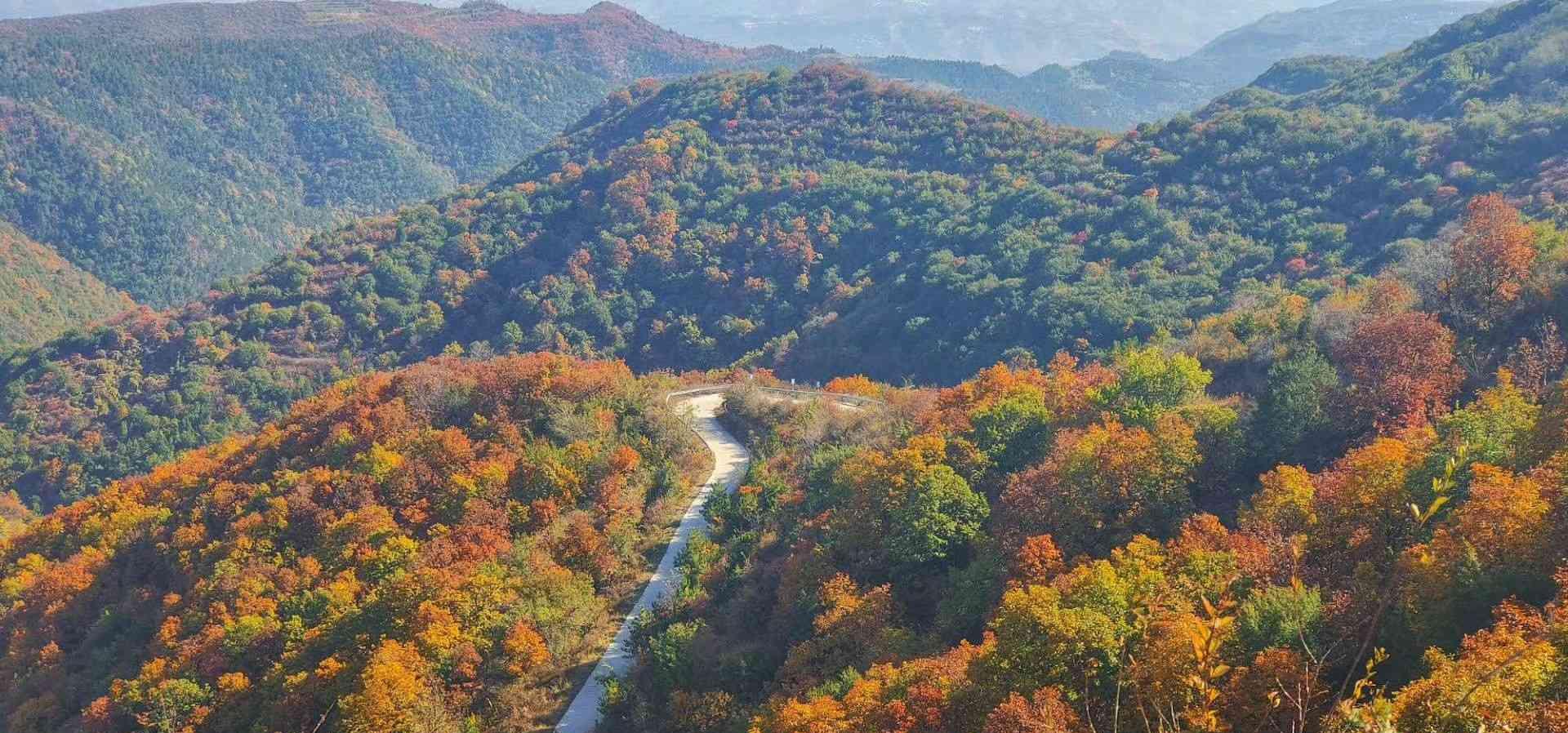 神道嶺——金秋黃龍的一道紅色風(fēng)景線