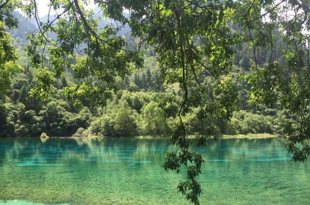 九寨溝三日旅游線路_九寨溝三日自駕游_3日游九寨溝