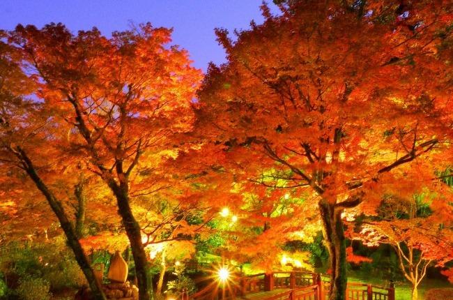 1701672968 mainim35325age