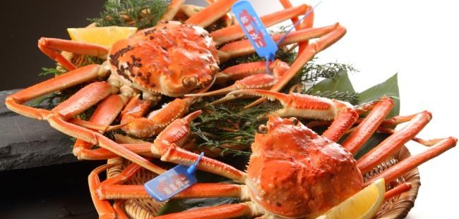 1701672684 423634677uba