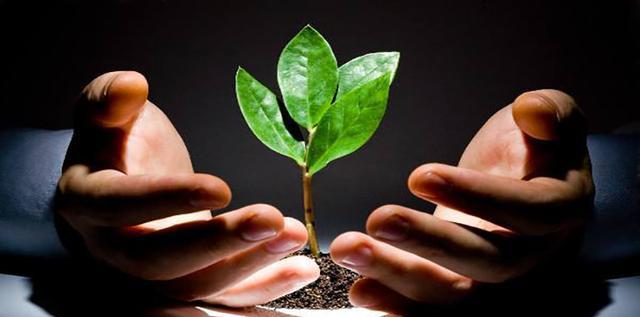 自駕游拉薩_拉薩自駕到新疆_拉薩自駕游新疆