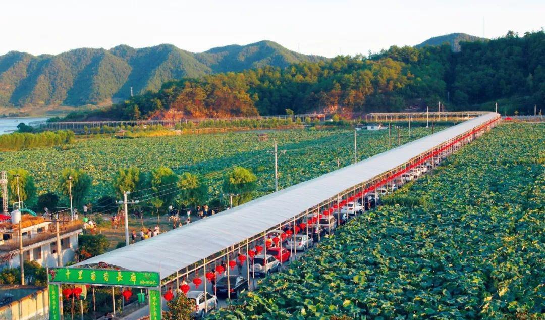 永康附近自駕游_永康自駕游_永康自駕周邊游