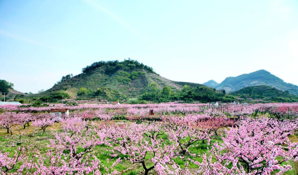 永康自駕游_永康自駕周邊游_永康附近自駕游