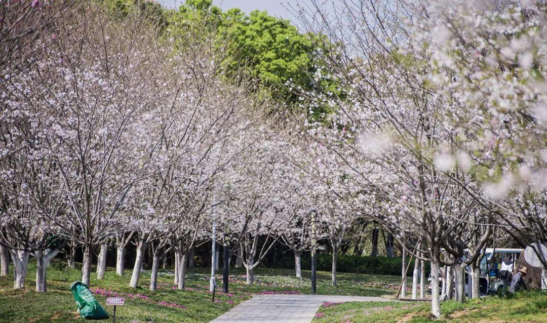 永康自駕周邊游_永康自駕游_永康附近自駕游