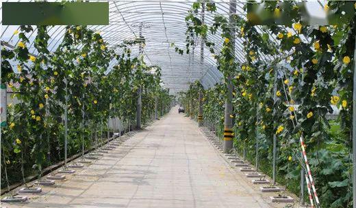 永康自駕周邊游_永康自駕游_永康附近自駕游