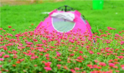 永康自駕游_永康自駕周邊游_永康附近自駕游