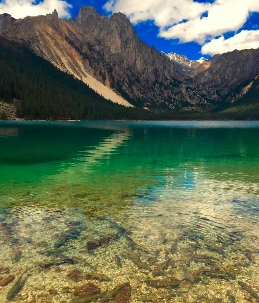 丙察察自駕游論壇_丙察察自駕游游記_2021年丙察察自駕